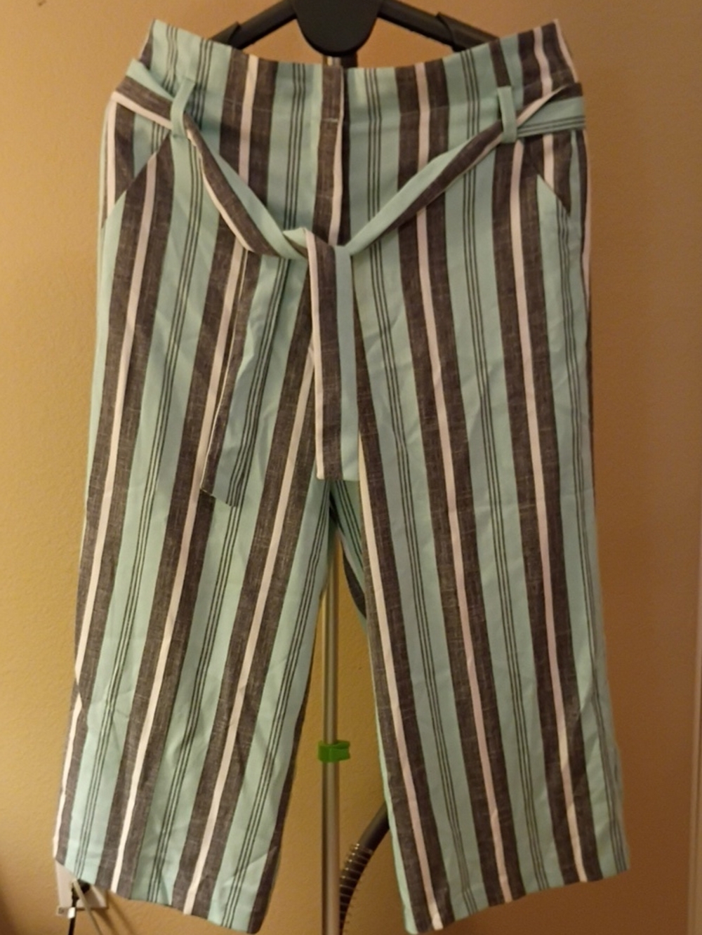 Striped Mint Wide-Leg Tie-Waist Pants